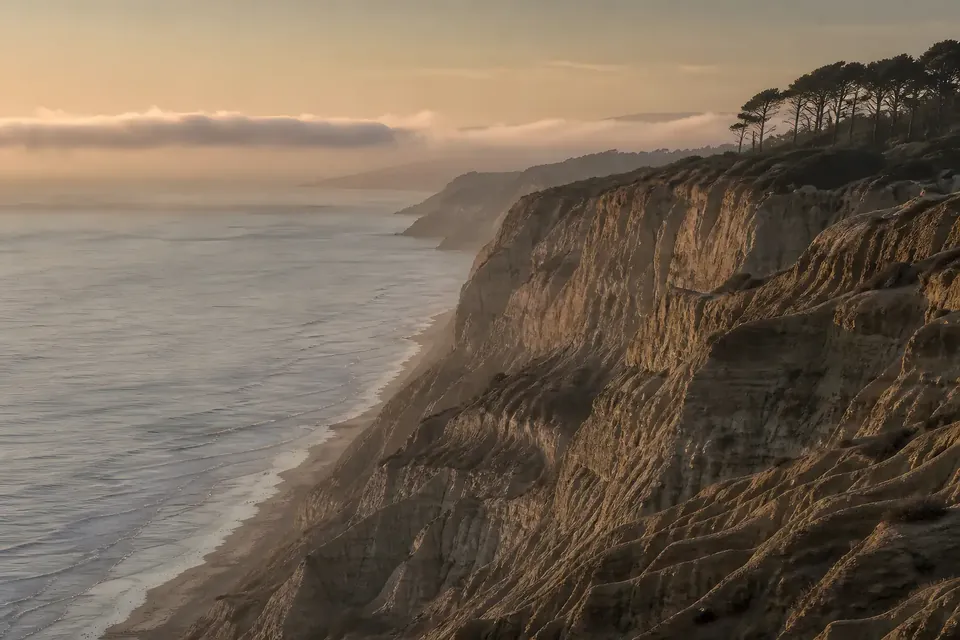 Torrey Bluffs, original coastal artwork by TorreyPress, shown flat